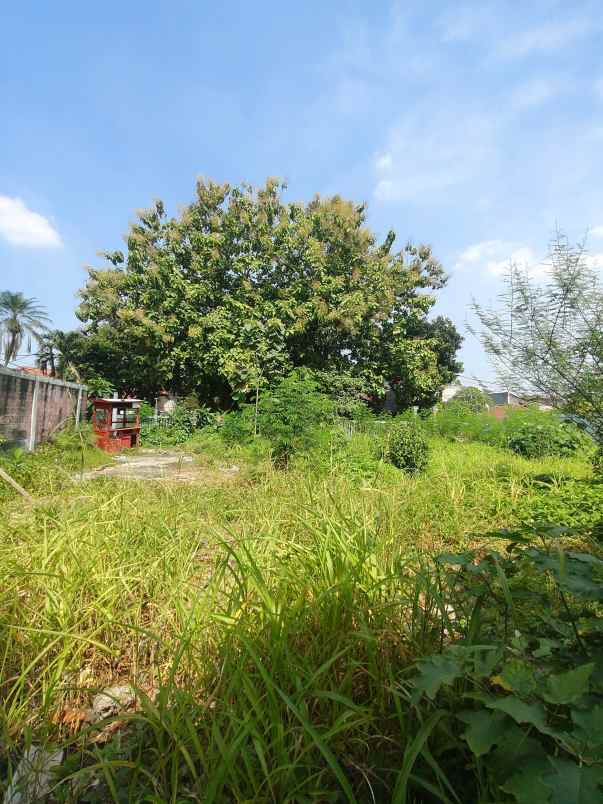 dijual tanah cipayung jakarta timur