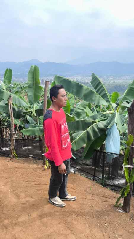 dijual tanah ciwalen