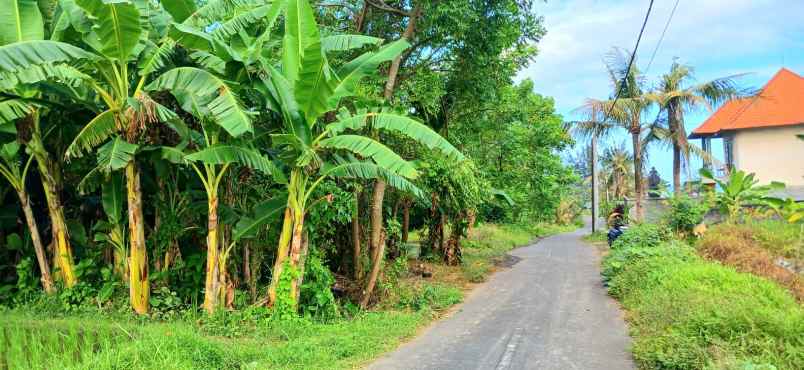 dijual tanah dekat komaneka keramas gianyar bali