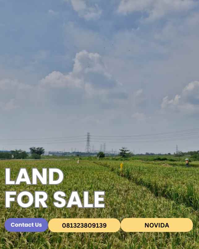 dijual tanah desa cilangkara rt 07 rw