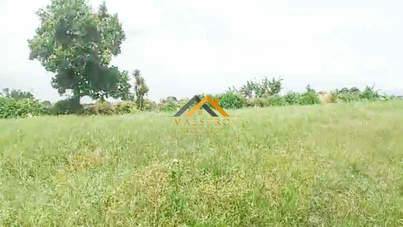 dijual tanah desa persadanta dsn ujung