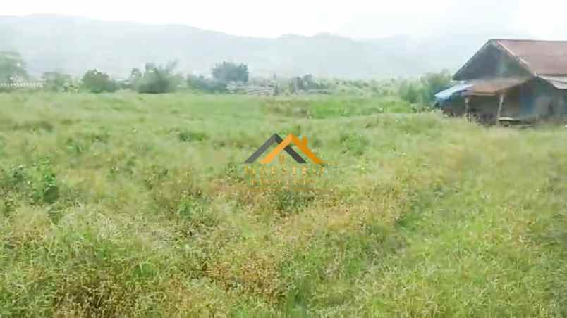 dijual tanah desa persadanta dsn ujung