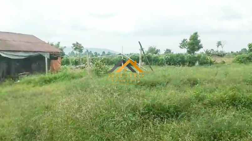 dijual tanah desa persadanta dsn ujung