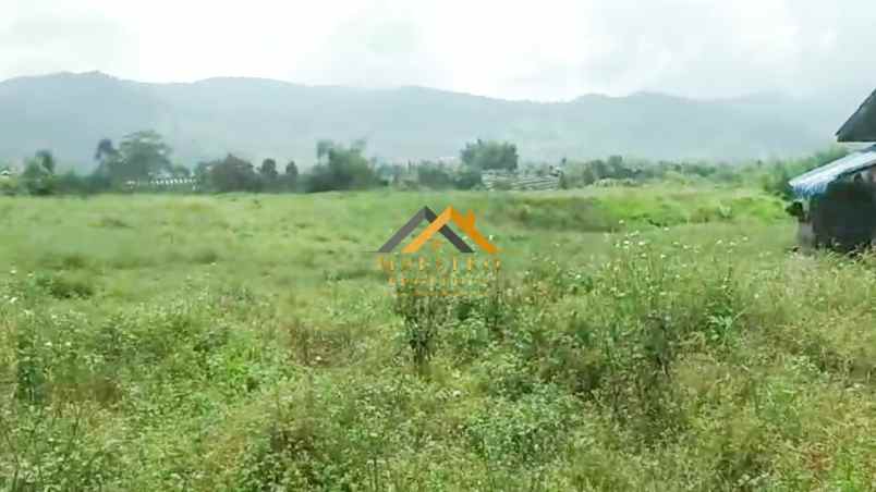 dijual tanah desa persadanta dsn ujung