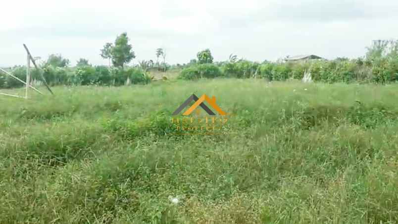 dijual tanah desa persadanta dsn ujung