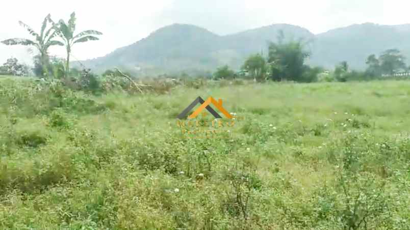 dijual tanah desa persadanta dsn ujung