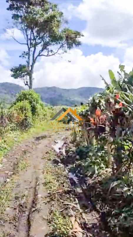 dijual tanah desa persadanta dsn ujung