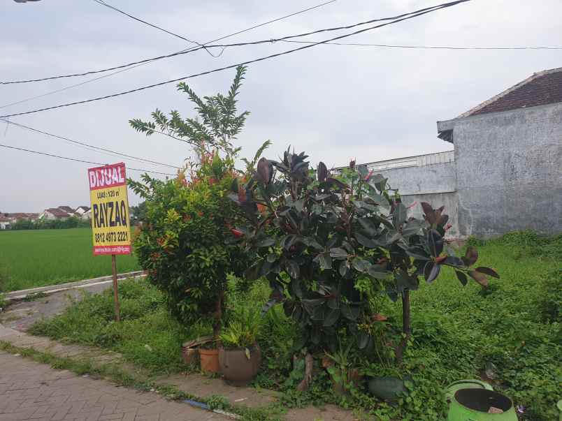 dijual tanah di daerah mongosidi pasuruan kota jatim