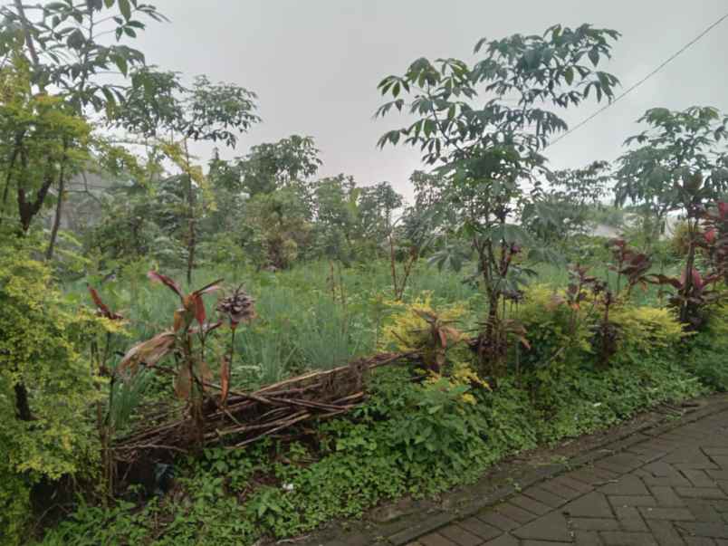 dijual tanah di gintung bulukerto