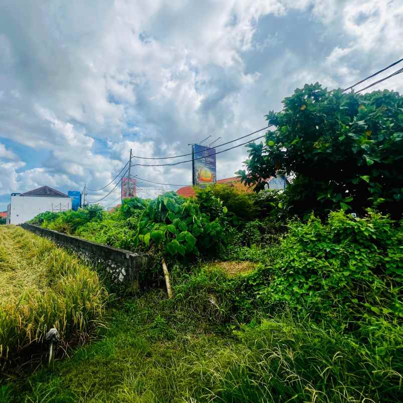 dijual tanah echo beach canggu