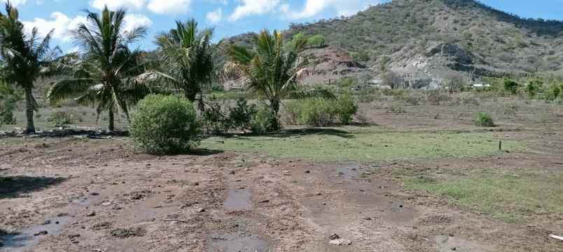 dijual tanah jalan lintas poto tano sumbawa