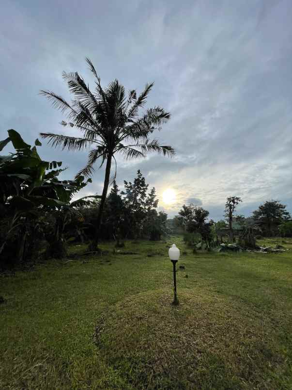 dijual tanah jalan pendidikan no 96 rt