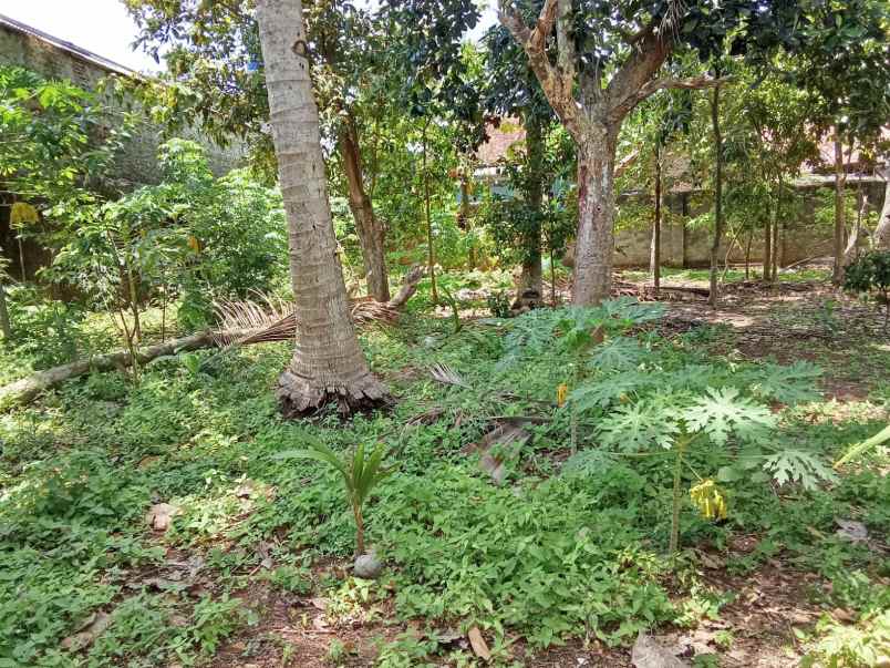 dijual tanah jalan pu za pagar alam