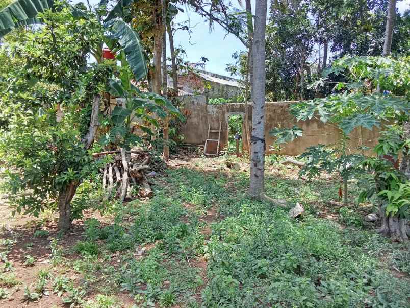 dijual tanah jalan pu za pagar alam