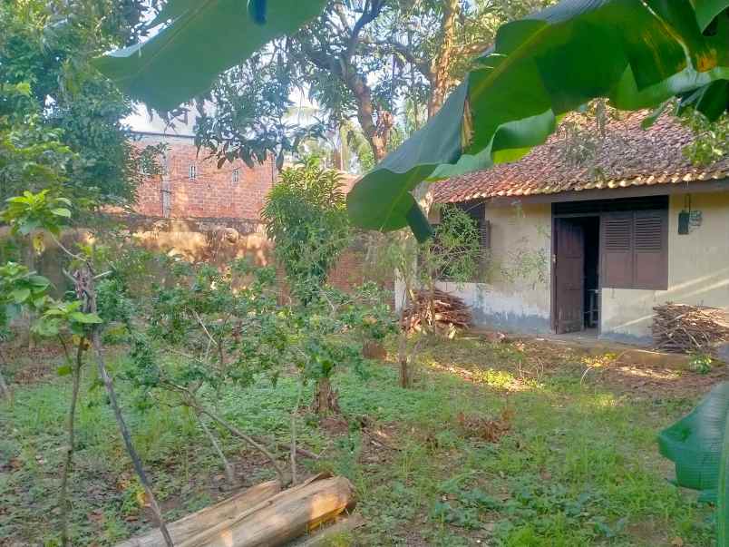 dijual tanah jalan pu za pagar alam