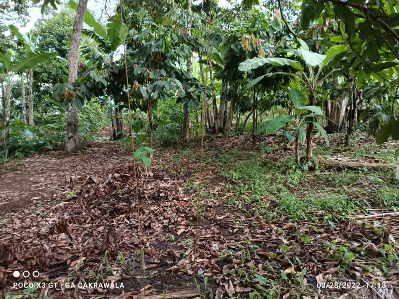 dijual tanah jalan raden imba kusuma