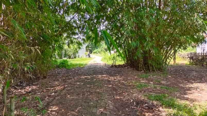 dijual tanah jalan raya cibogo cisauk