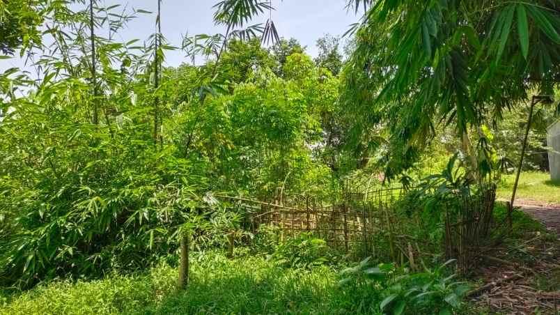 dijual tanah jalan raya cibogo cisauk