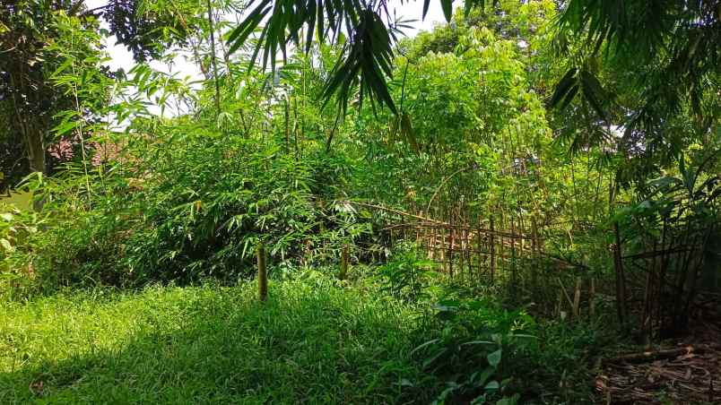 dijual tanah jalan raya cibogo cisauk