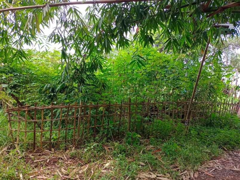 dijual tanah jalan raya cibogo cisauk