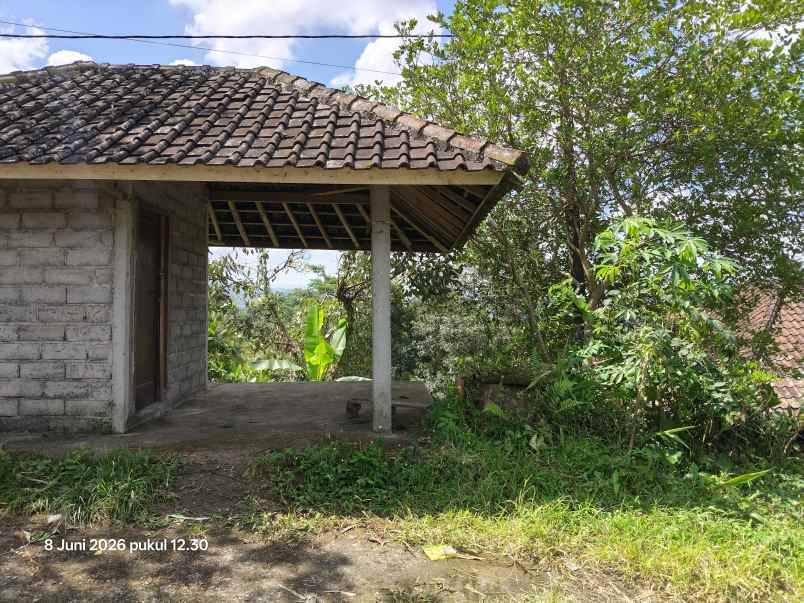 dijual tanah jatiluwih tabanan bali