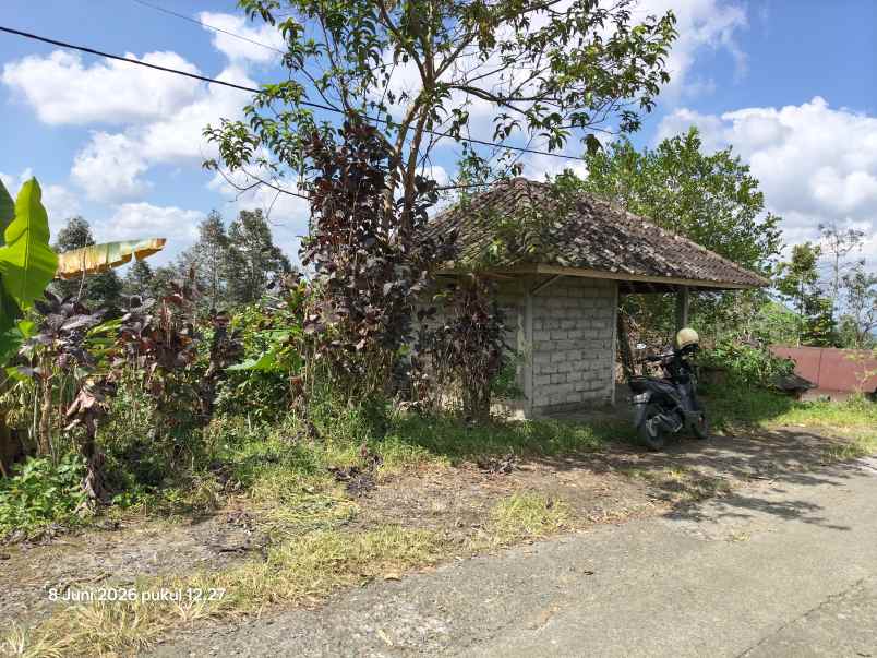 dijual tanah jatiluwih tabanan bali