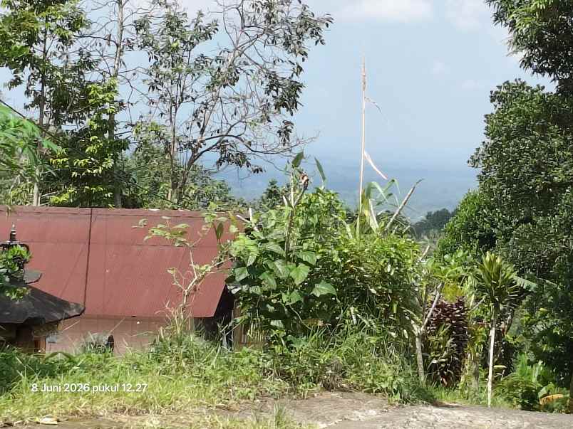 dijual tanah jatiluwih tabanan bali