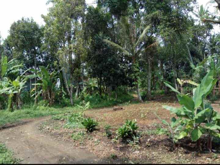 dijual tanah jl bhayangkara gn puyuh