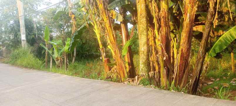 dijual tanah jl jampang