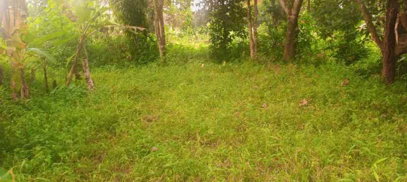 dijual tanah jl jampang