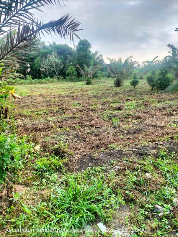 dijual tanah jl karya masa