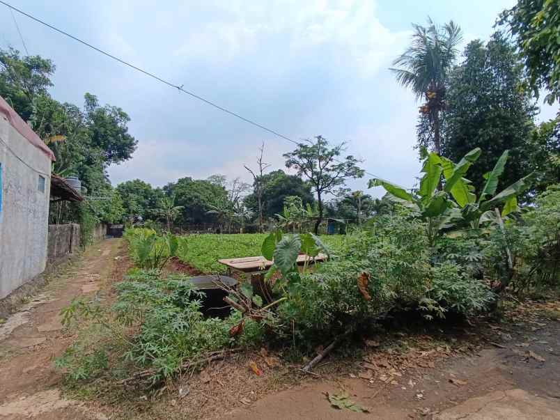 dijual tanah jl raya pitara kali licin