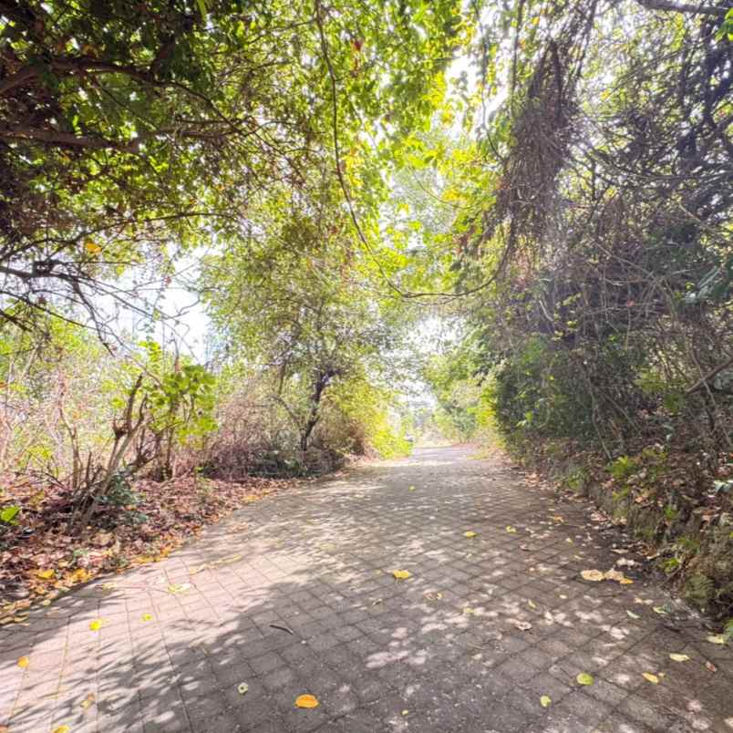 dijual tanah jl toyaning