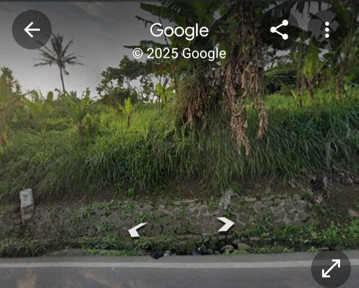 dijual tanah jln ciloa mekarsari