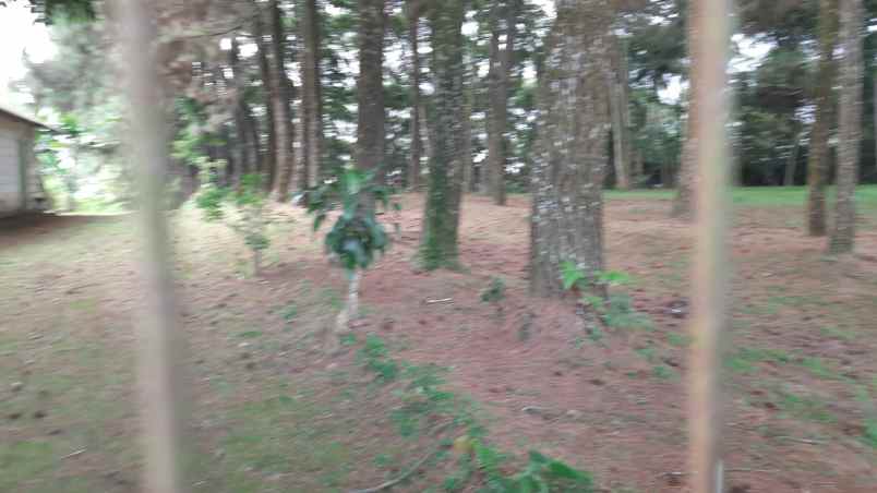 dijual tanah jln lodaya gunung geulis