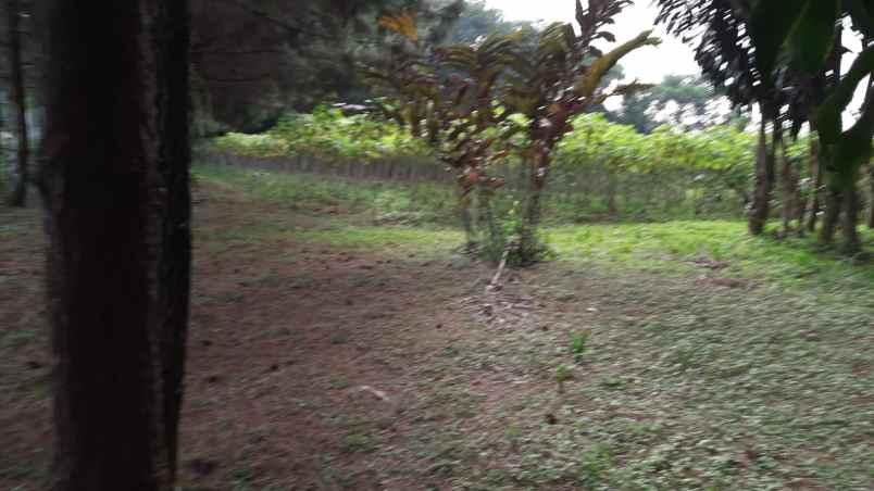 dijual tanah jln lodaya gunung geulis