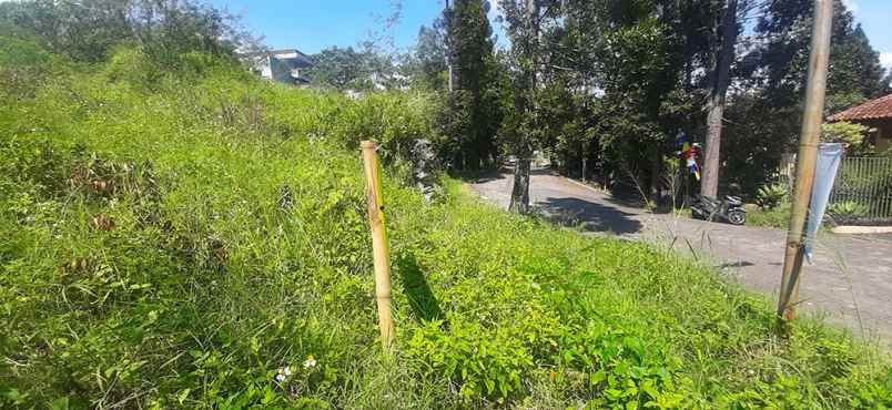 dijual tanah kampung padi