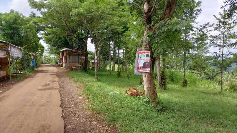 dijual tanah kebun lokasi nagrak cibadak sukabumi