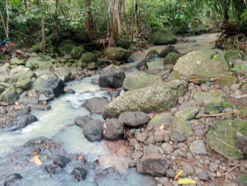 dijual tanah kebun los sungai murah tempat strategis