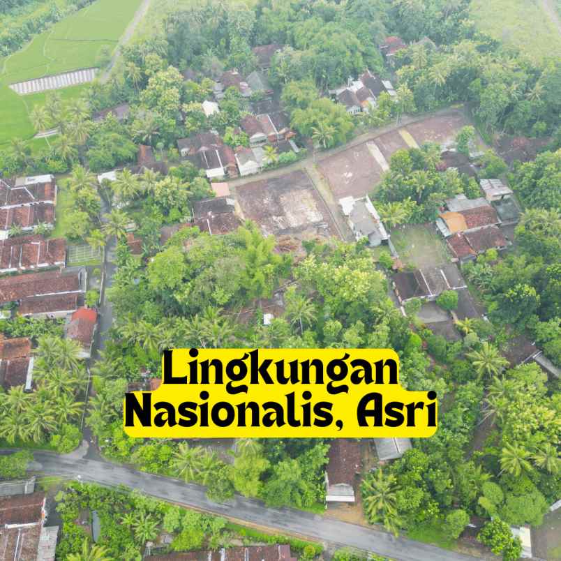 dijual tanah kedungprahu sendangrejo