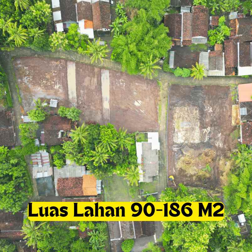 dijual tanah kedungprahu sendangrejo