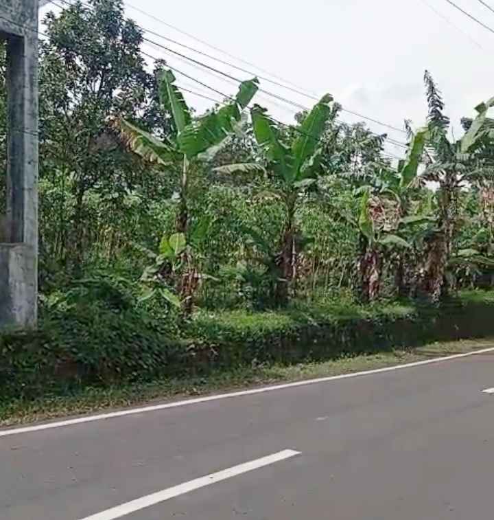 dijual tanah komersil pinggir jl raya nasional
