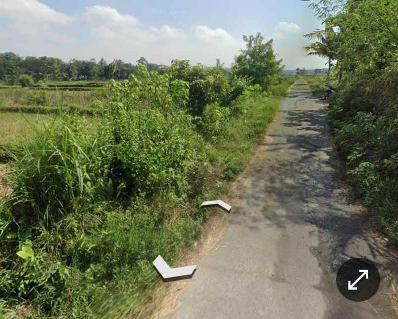 dijual tanah leses manisrenggo