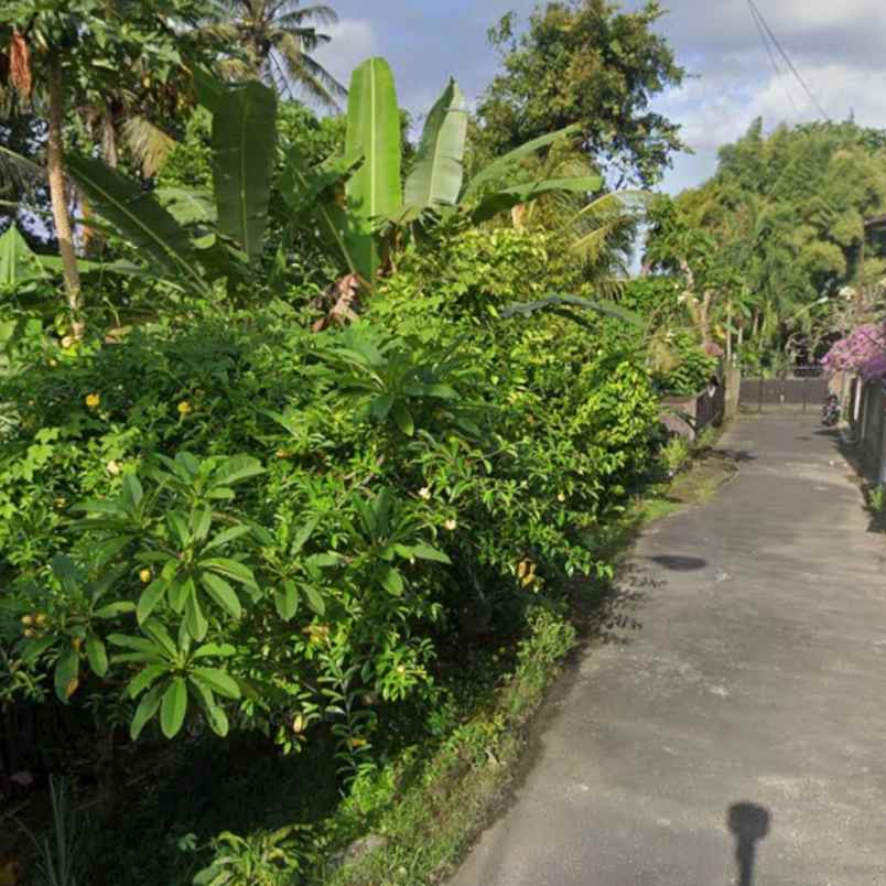 dijual tanah mengwi