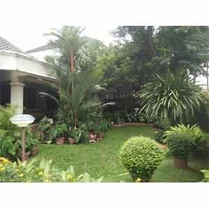 dijual tanah menteng jakarta pusat