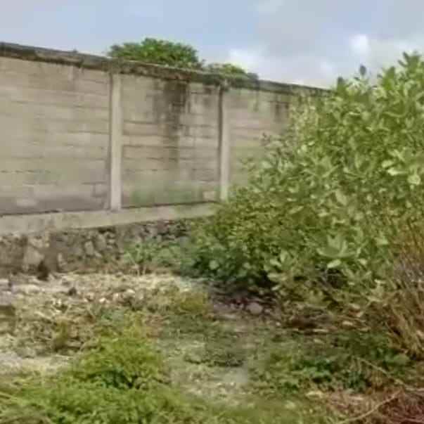 dijual tanah pesanggaran pemogan