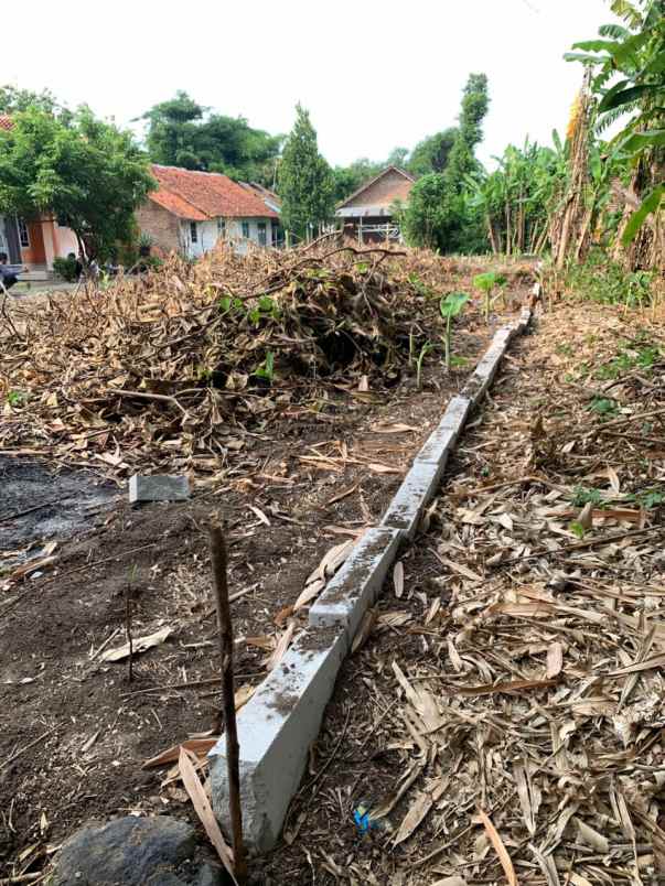 dijual tanah pribadi daerah pasalakan