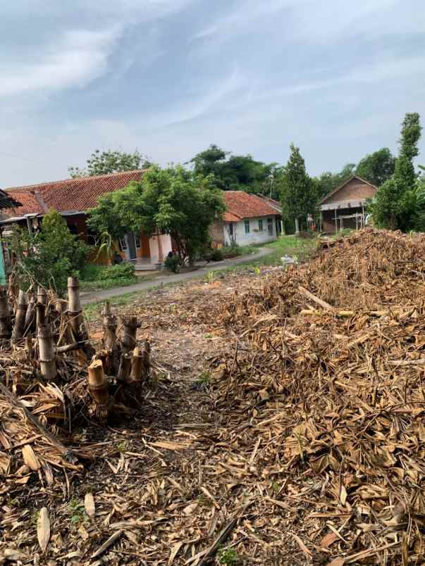 dijual tanah pribadi daerah pasalakan