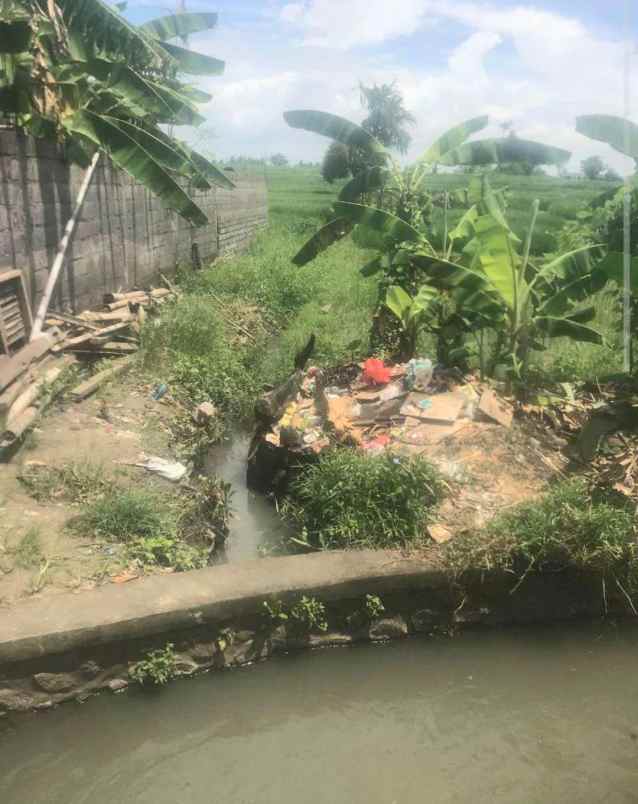 dijual tanah raya munggu kapal