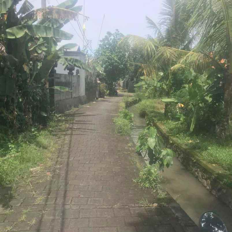 dijual tanah raya munggu kapal